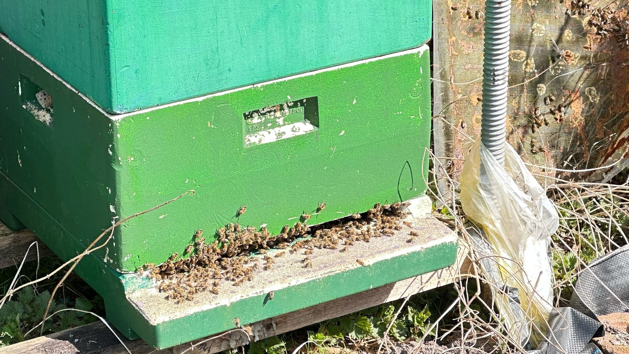 Bienenbeute